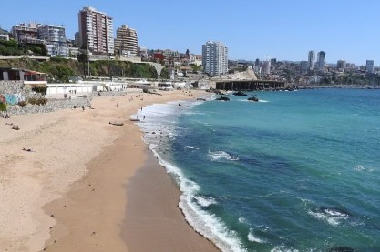 Playa Caleta Abarca beach in Chile