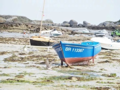 Roadmap 2030: what will change for the French small boat sector?
