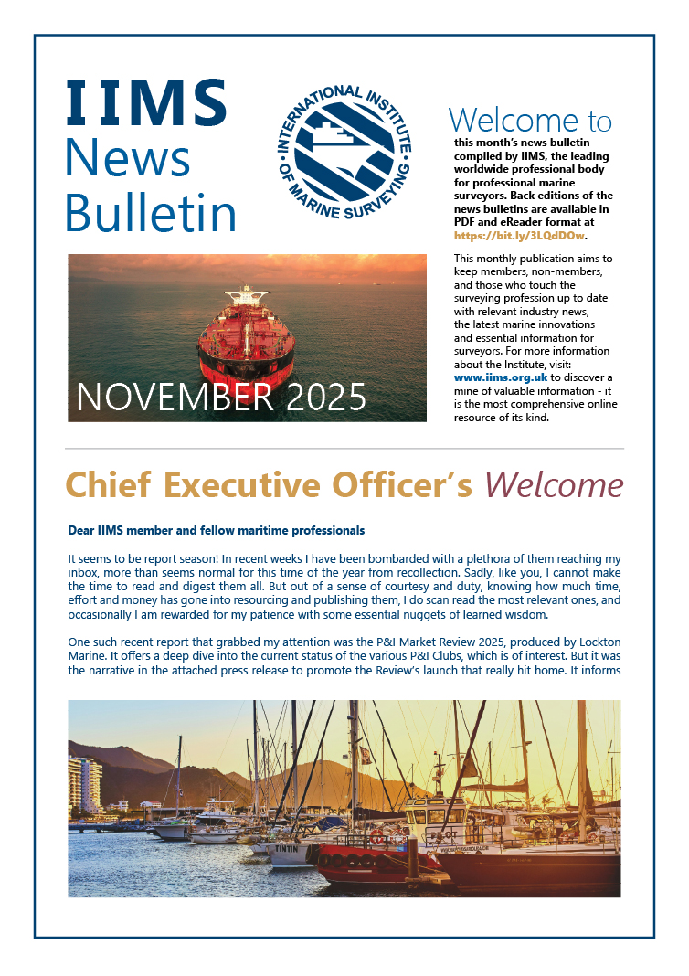 News Bulletin November 2025