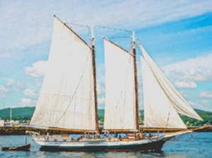 Grace Bailey mainmast, October 19, 2023