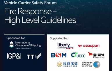 Vehicle Carrier Safety Forum Response Guidelines