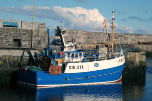 Fishing trawler Freedom II sank following engine room flooding. Image caption: Image courtesy of MarineTraffic