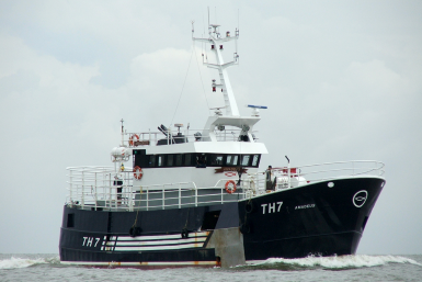 Deckhand died after falling overboard potting vessel Amadeus in North Sea