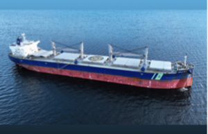 Crewmember died in man overboard incident on World Prize bulk carrier