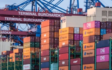 Australian government launches guidance to help prevent pest contamination in containers