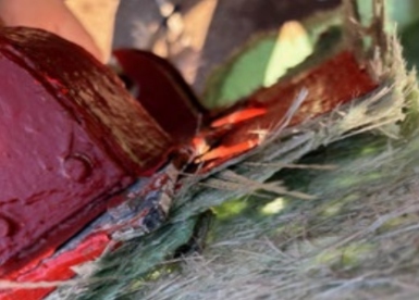 USCG urges checks of the material condition of ageing fiberglass lifeboats